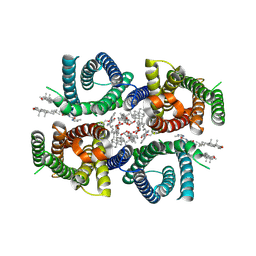 BU of 9mff by Molmil