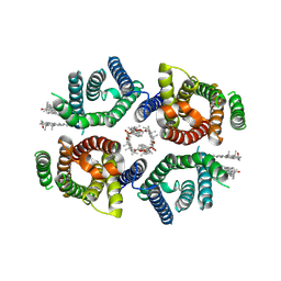 BU of 9mfl by Molmil