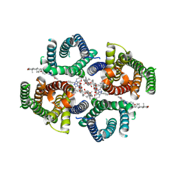 BU of 9mfm by Molmil