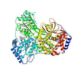 BU of 9mfo by Molmil