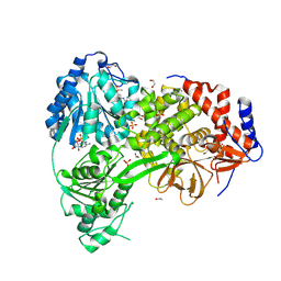 BU of 9mfp by Molmil
