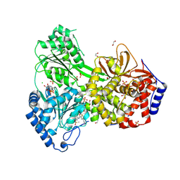 BU of 9mfr by Molmil