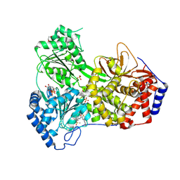 BU of 9mft by Molmil