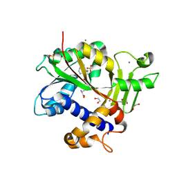 BU of 9mg0 by Molmil