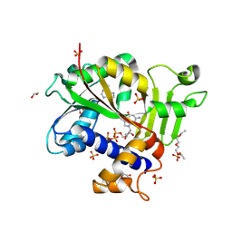 BU of 9mg1 by Molmil