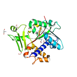 BU of 9mg2 by Molmil