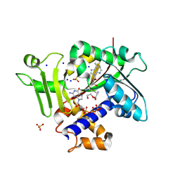 BU of 9mg3 by Molmil