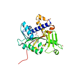 BU of 9mg4 by Molmil