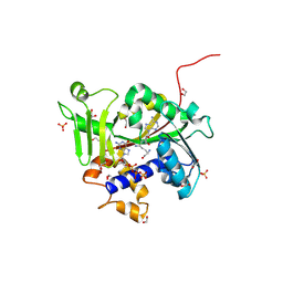 BU of 9mg5 by Molmil