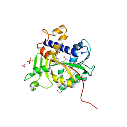BU of 9mg6 by Molmil