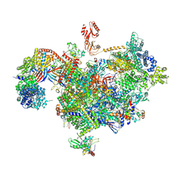 BU of 9mlc by Molmil