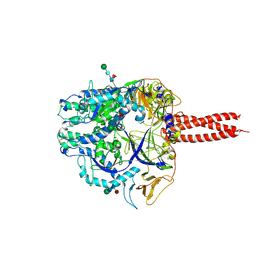 BU of 9mnh by Molmil