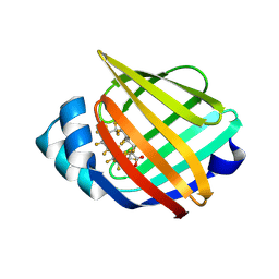 BU of 9mp2 by Molmil