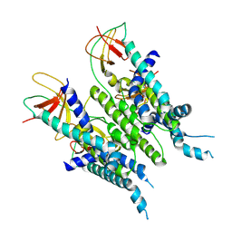 AU of 9mrr by Molmil