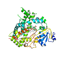 BU of 9ms2 by Molmil