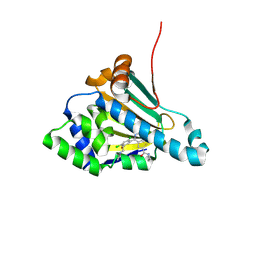 BU of 9msv by Molmil