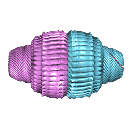 BU of 9mxv by Molmil