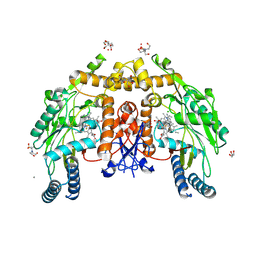 BU of 9mz2 by Molmil