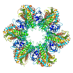 BU of 9n4x by Molmil