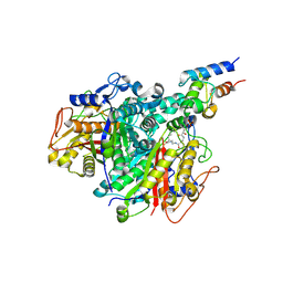 BU of 9n50 by Molmil