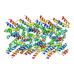 BU of 9n94 by Molmil
