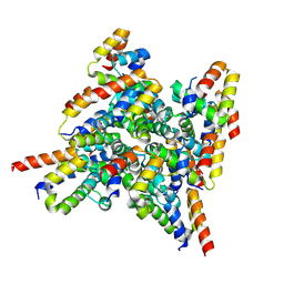 BU of 9ncq by Molmil