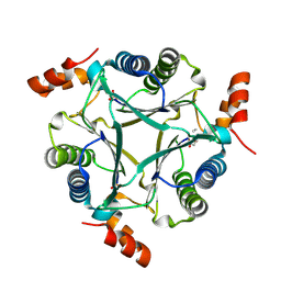 BU of 9nf3 by Molmil