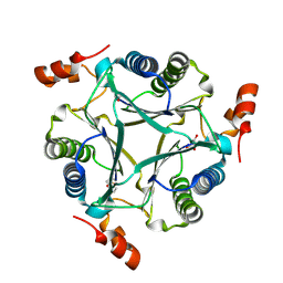 AU of 9ng3 by Molmil