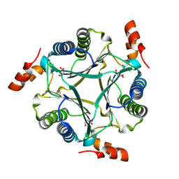 AU of 9ng6 by Molmil