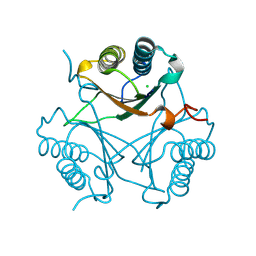 BU of 9ngd by Molmil