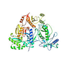 BU of 9nlp by Molmil