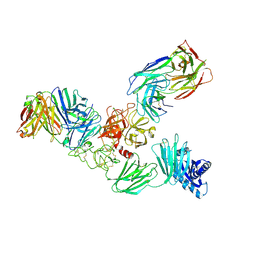 BU of 9nrc by Molmil