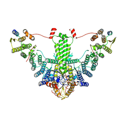 BU of 9ns5 by Molmil