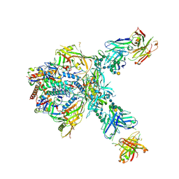 BU of 9o2s by Molmil