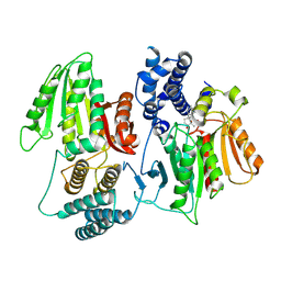 BU of 9o4j by Molmil