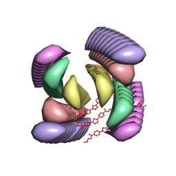 BU of 9o7j by Molmil