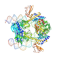 AU of 9o7o by Molmil