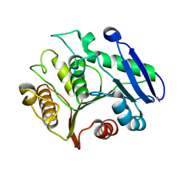 AU of 9o7u by Molmil