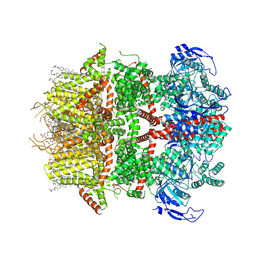 AU of 9o7z by Molmil