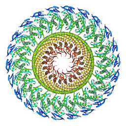 BU of 9o9z by Molmil