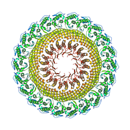 BU of 9oa0 by Molmil