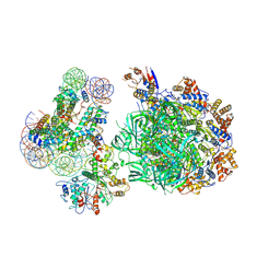 AU of 9ob1 by Molmil