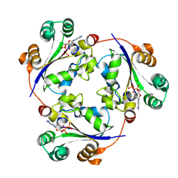 BU of 9obc by Molmil