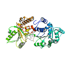 BU of 9og8 by Molmil