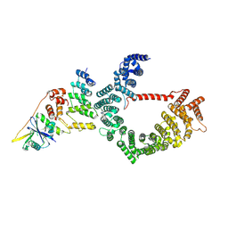 BU of 9oge by Molmil
