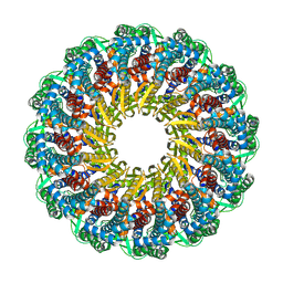 BU of 9opc by Molmil