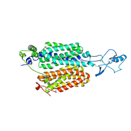 BU of 9pmd by Molmil