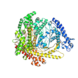 BU of 9pnq by Molmil