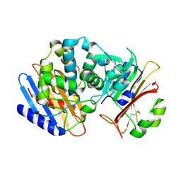 BU of 9q0a by Molmil