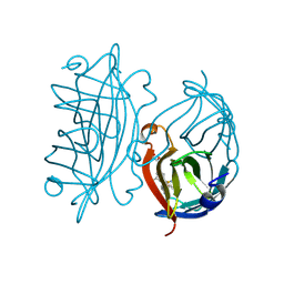 BU of 9qo7 by Molmil
